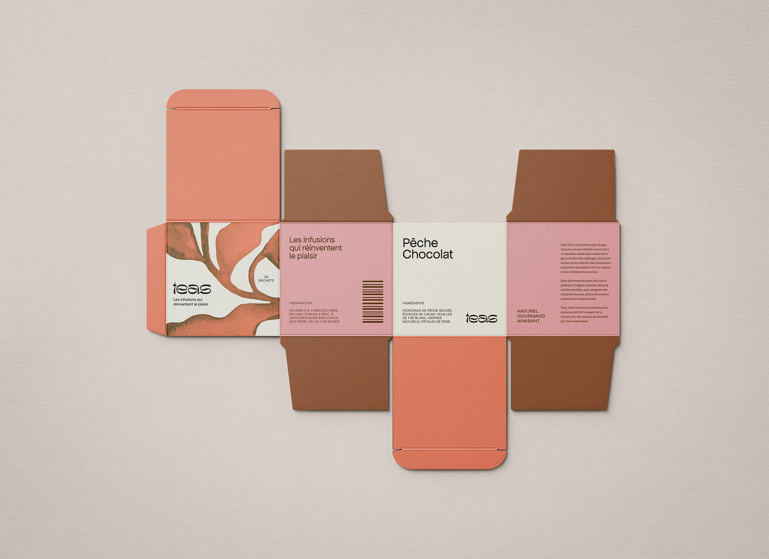 Visuel à plat du packaging de la saveur Pêche Chocolat de la marque Teas, mettant en avant un design coloré et gourmand. L'illustration évoque la délicatesse et l'harmonie des saveurs, inspirant l'envie d'une infusion douce et réconfortante.